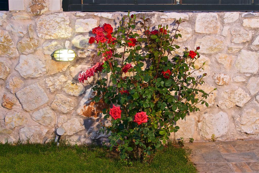 Superb Villa With Private Pool Peaceful Location Sami  Dış mekan fotoğraf